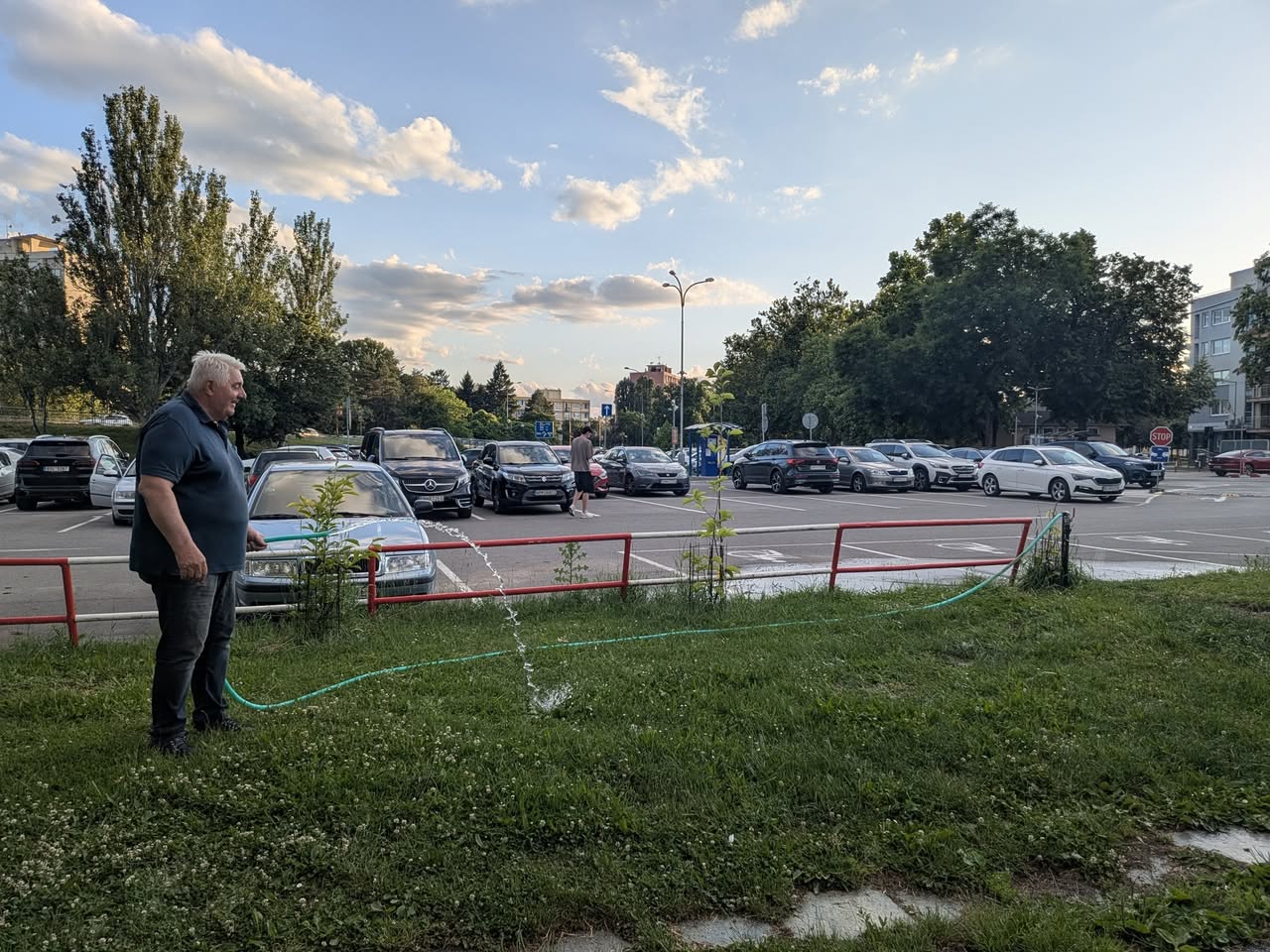 Sen o najväčšej magnóliovej aleji v Piešťanoch